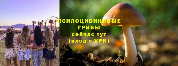 молекула духа Зеленокумск