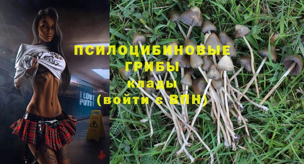 молекула духа Зеленокумск