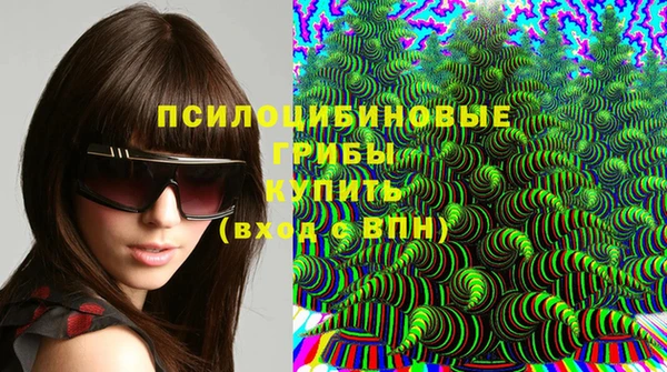 хмурый Зерноград