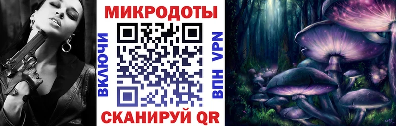 Псилоцибиновые грибы Psilocybe Тихорецк