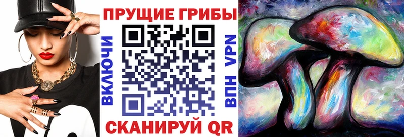 Галлюциногенные грибы Magic Shrooms Тихорецк