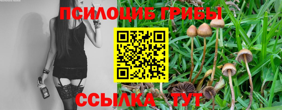 Тихорецк  Галлюциногенные грибы прущие грибы  Галлюциногенные грибы мухоморы  Вход с VPN 